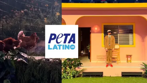 En la foto: Gallinas en el concierto de Bad Bunny; Logo Peta
